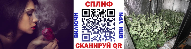 Купить закладку Галлюциногенные грибы  Меф мяу мяу  МАРИХУАНА  БУТИРАТ  СК  Суздаль