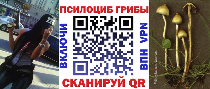 Галлюциногенные грибы мицелий  Купить где  Суздаль 